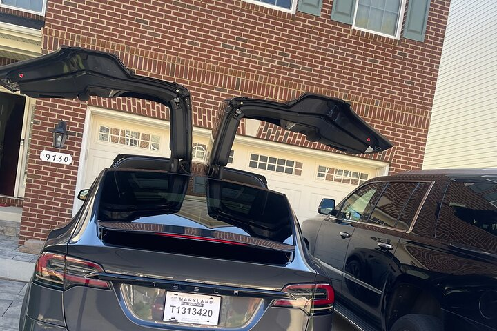 Private Half Day Tour In Mount Vernon - Photo 1 of 17